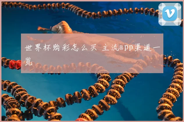 世界杯购彩怎么买 主流app渠道一览