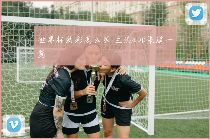 世界杯购彩怎么买 主流app渠道一览