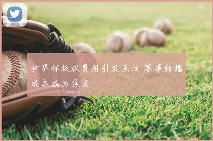 世界杯版权费用引发关注 赛事转播成本成为焦点
