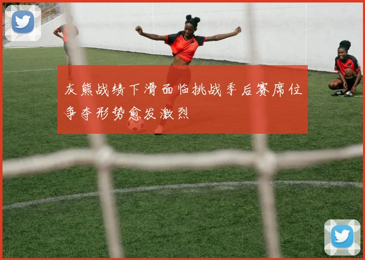 灰熊战绩下滑面临挑战季后赛席位争夺形势愈发激烈